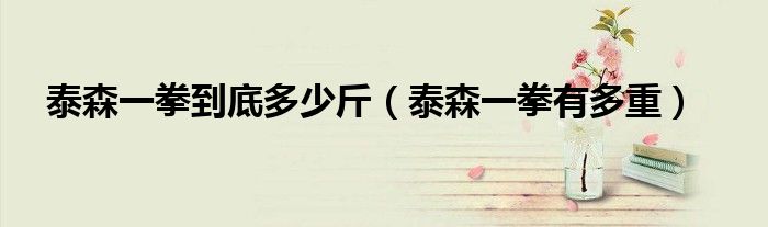 泰森一拳到底多少斤(泰森一拳有多重)