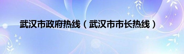武汉市政府热线(武汉市市长热线)