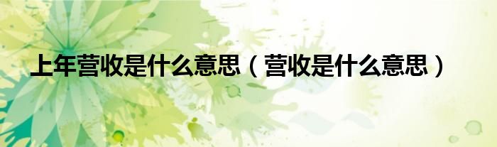 上年营收是什么意思(营收是什么意思)