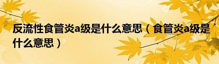 反流性食管炎a级是什么意思(食管炎a级是什么意思)