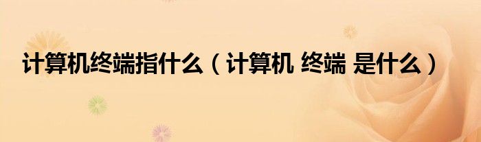 计算机终端指什么(计算机 终端 是什么)