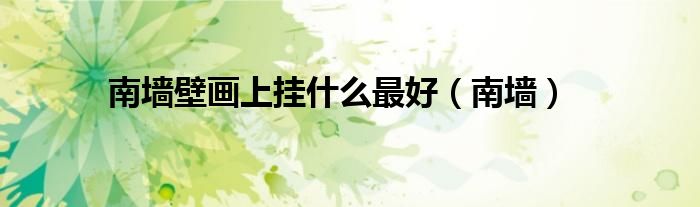 南墙壁画上挂什么最好(南墙)
