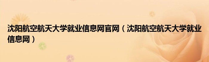 沈阳航空航天大学就业信息网官网(沈阳航空航天大学就业信息网)