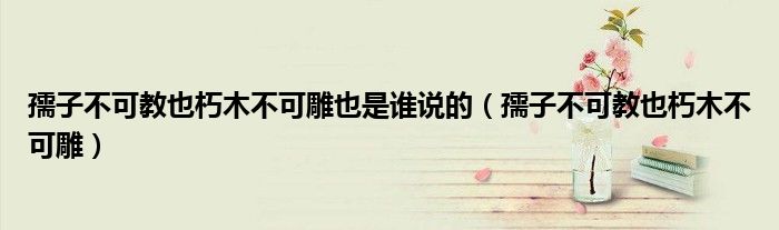 孺子不可教也朽木不可雕也是谁说的(孺子不可教也朽木不可雕)