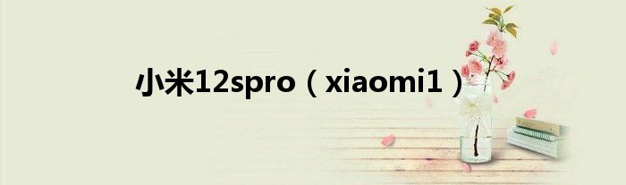 小米12spro(xiaomi1)