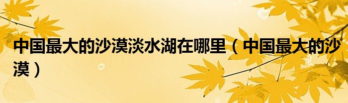 中国最大的沙漠淡水湖在哪里(中国最大的沙漠)