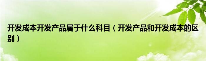 开发成本开发产品属于什么科目(开发产品和开发成本的区别)