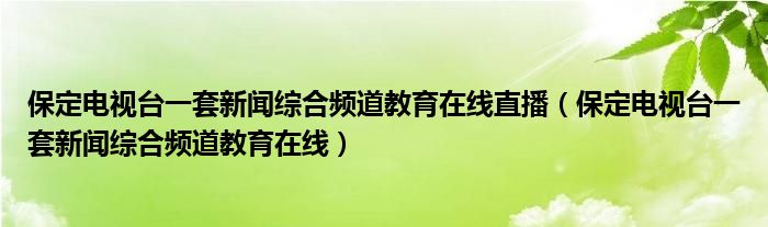 保定电视台一套新闻综合频道教育在线直播(保定电视台一套新闻综合频道教育在线)