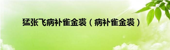 猛张飞病补雀金裘(病补雀金裘)