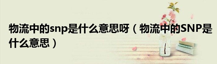 物流中的snp是什么意思呀(物流中的SNP是什么意思)