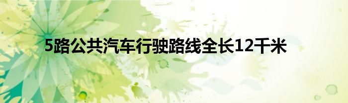 5路公共汽车行驶路线全长12千米