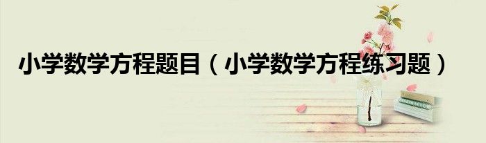 小学数学方程题目(小学数学方程练习题)