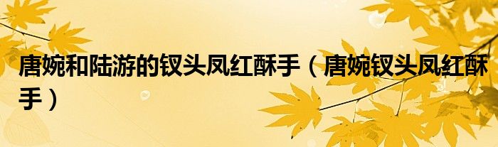 唐婉和陆游的钗头凤红酥手(唐婉钗头凤红酥手)