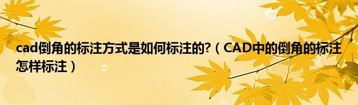cad倒角的标注方式是如何标注的?(CAD中的倒角的标注怎样标注)