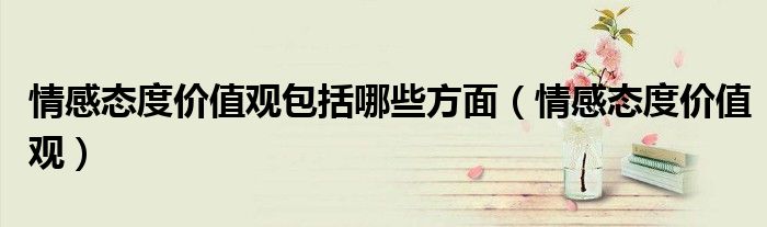 情感态度价值观包括哪些方面(情感态度价值观)