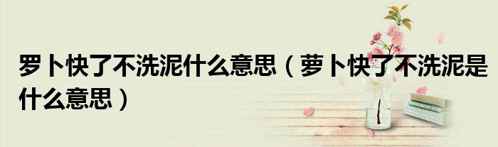 罗卜快了不洗泥什么意思(萝卜快了不洗泥是什么意思)