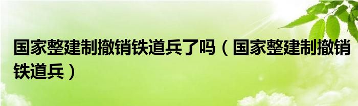 国家整建制撤销铁道兵了吗(国家整建制撤销铁道兵)