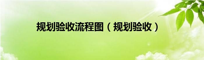 规划验收流程图(规划验收)