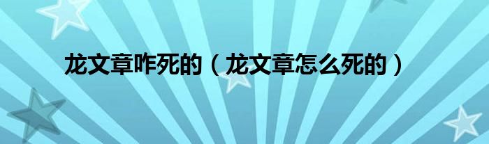 龙文章咋死的(龙文章怎么死的)