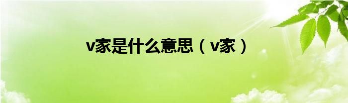 v家是什么意思(v家)