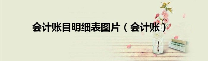 会计账目明细表图片(会计账)
