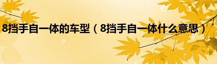 8挡手自一体的车型(8挡手自一体什么意思)