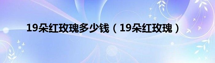 19朵红玫瑰多少钱(19朵红玫瑰)