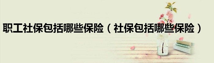 职工社保包括哪些保险(社保包括哪些保险)