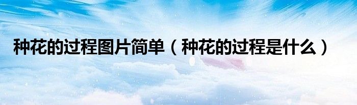 种花的过程图片简单(种花的过程是什么)