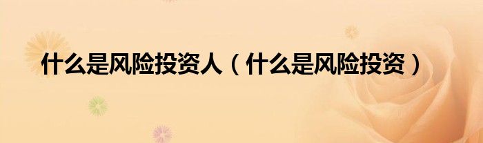 什么是风险投资人(什么是风险投资)