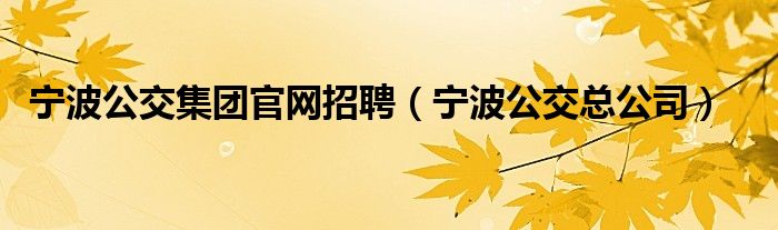 宁波公交集团官网招聘(宁波公交总公司)