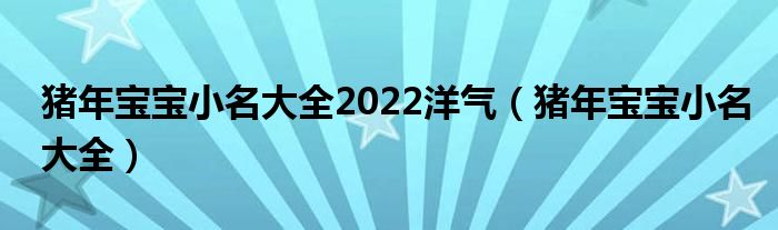 猪年宝宝小名大全2022洋气(猪年宝宝小名大全)