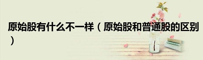 原始股有什么不一样(原始股和普通股的区别)