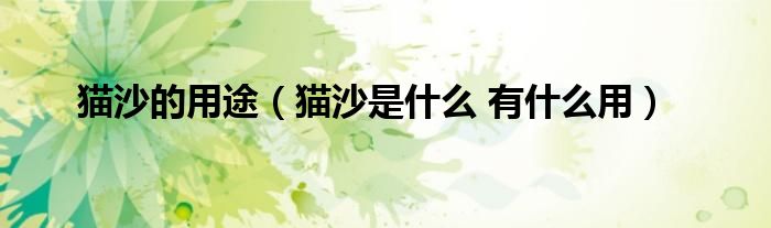 猫沙的用途(猫沙是什么 有什么用)