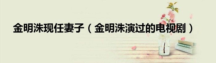 金明洙现任妻子(金明洙演过的电视剧)