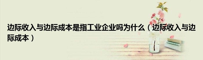 边际收入与边际成本是指工业企业吗为什么(边际收入与边际成本)