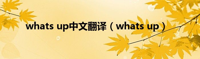 whats up中文翻译(whats up)