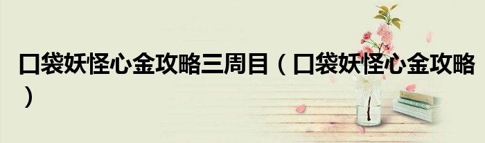 口袋妖怪心金攻略三周目(口袋妖怪心金攻略)