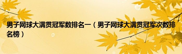 男子网球大满贯冠军数排名一(男子网球大满贯冠军次数排名榜)