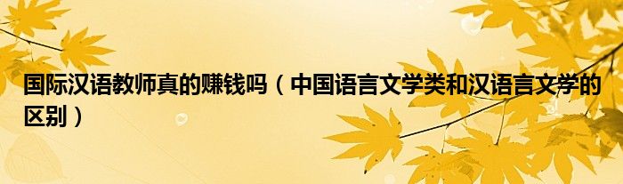 国际汉语教师真的赚钱吗(中国语言文学类和汉语言文学的区别)