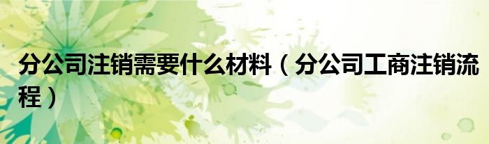 分公司注销需要什么材料(分公司工商注销流程)