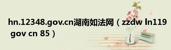 hn.12348.gov.cn湖南如法网(zzdw ln119 gov cn 85)