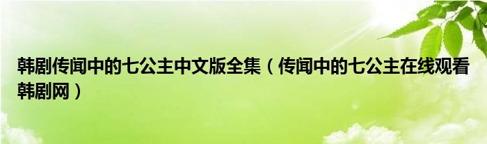 韩剧传闻中的七公主中文版全集(传闻中的七公主在线观看韩剧网)