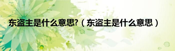 东盗主是什么意思?(东盗主是什么意思)