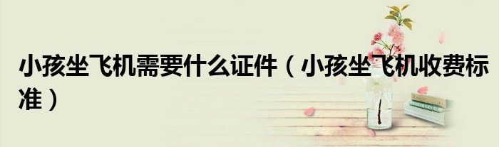 小孩坐飞机需要什么证件(小孩坐飞机收费标准)