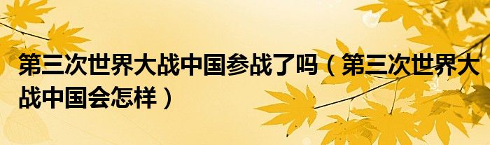 第三次世界大战中国参战了吗(第三次世界大战中国会怎样)