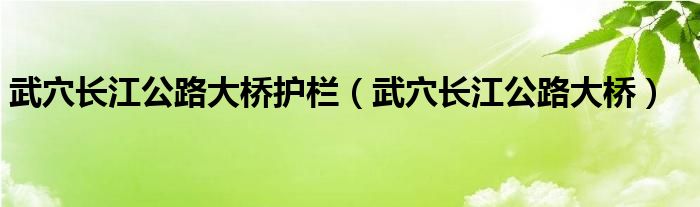 武穴长江公路大桥护栏(武穴长江公路大桥)
