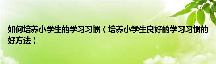 如何培养小学生的学习习惯(培养小学生良好的学习习惯的好方法)