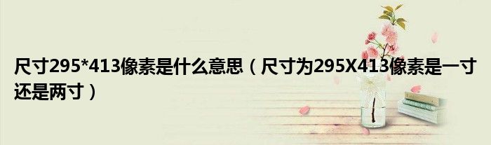尺寸295*413像素是什么意思(尺寸为295X413像素是一寸还是两寸)