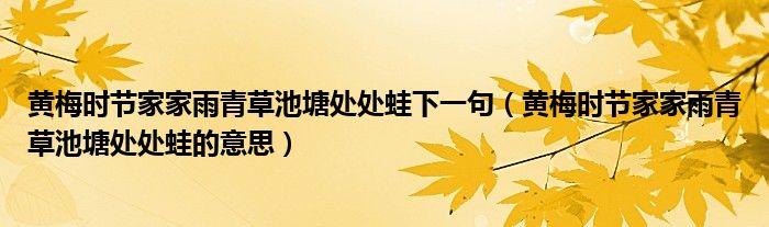 黄梅时节家家雨青草池塘处处蛙下一句(黄梅时节家家雨青草池塘处处蛙的意思)